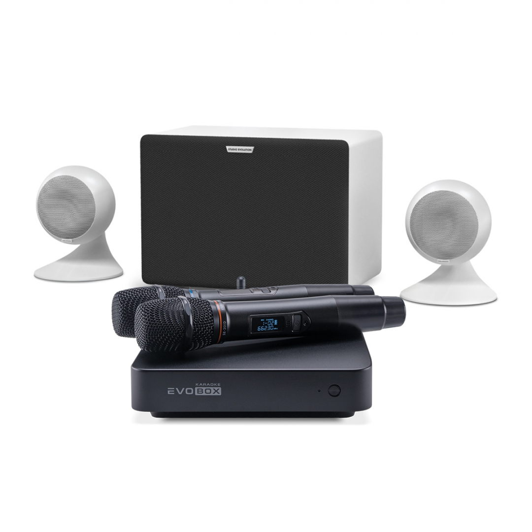 караоке-комплект EVOBOX Classic + EvoSound Sphere 2.1 в Нерехте