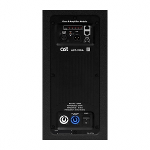 Активная акустическая система AST-310A в Нерехте