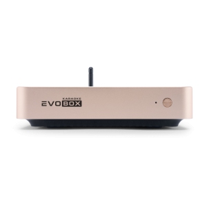 EVOBOX Classic караоке-система для дома в Нерехте