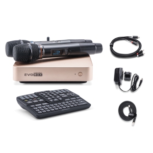 EVOBOX Classic караоке-система для дома в Нерехте