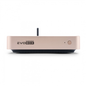 EVOBOX Plus караоке-система для дома в Нерехте